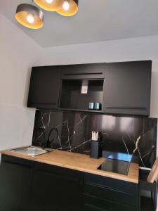Kuchyňa alebo kuchynka v ubytovaní B&B Buzolic