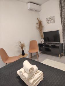 Televízia a/alebo spoločenská miestnosť v ubytovaní B&B Buzolic