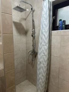Primo apartmani的一间浴室