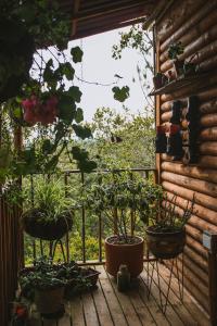 Zahrada ubytování Casa Calma