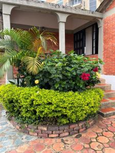 Zahrada ubytování Hotel Aguablanca