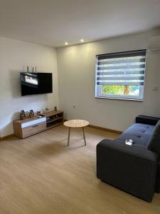a living room with a couch and a tv at Chalé da Fonte - T2 in Geres