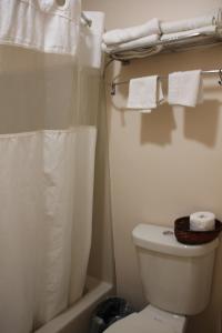ナイアガラフォールズにあるSterling Inn near IAG Airportのバスルーム(トイレ、シャワー、タオル付) +24枚の写真