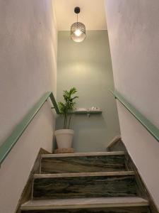 a staircase with a potted plant and a pendant light at 3 LimeBeach in Armação de Pêra