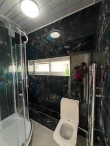 a bathroom with a toilet and a glass shower at Eva lodges in Manchester