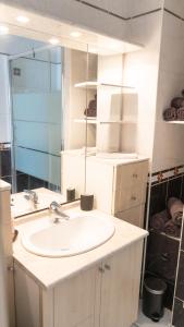 ein Badezimmer mit Waschbecken und Spiegel in der Unterkunft T2 Cosy centre ville proche gare in Tourcoing