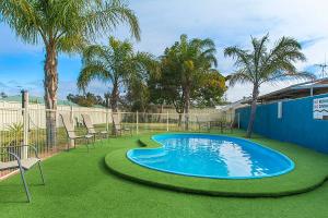 
a green lawn with a pool and lawn chairs at Citrus Valley Motel in Renmark

