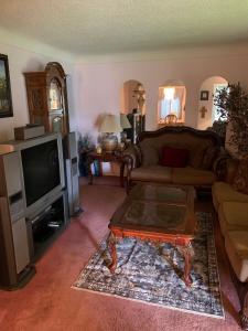 Oak ParkにあるBeautiful, Cozy Stay in Oak Park, Queen Bedroom, Work Setup & Backyard Grillのソファとテレビのあるリビングルーム
