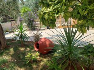 Κήπος έξω από το Valia House Thassos