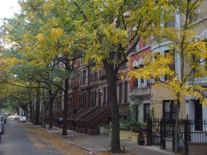 a street in the fall with trees and buildings at The Gallery House in New York