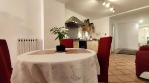 a kitchen with a table with a potted plant on it at La Casa Del Vino - Marino Centro in Marino +21 photos