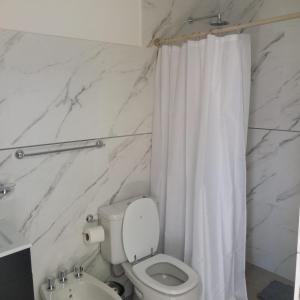 a bathroom with a toilet and a shower curtain at Apart Piedras con cohera y desayuno seco in Villa María +49 photos