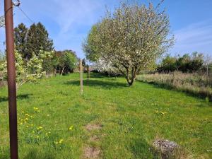 a field of green grass with a tree and flowers at 6 person holiday home in Borre in Borre +8 photos