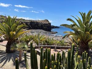 een strand met cactussen en palmbomen en de oceaan bij Callao Sunset Home in Callao Salvaje