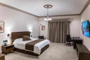 una habitación de hotel con una cama y un escritorio en Hotel Guidi Linares, en Linares