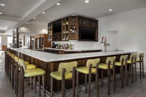 パスカグーラにあるHilton Garden Inn Pascagoulaの黄色いスツールが備わるバー