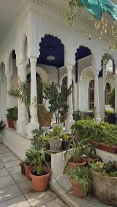 a building with a bunch of potted plants at Otla - A Heritage Boutique Hotel, Jaipur in Jaipur