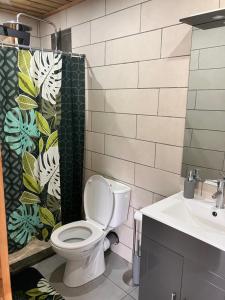 un bagno con un water e una tenda da doccia di Studio Le Dalia a La Plaine des Cafres
