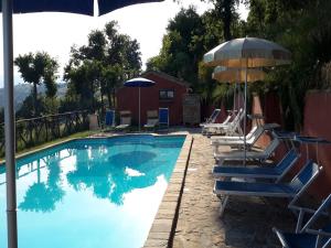 basen z leżakami i parasolem w obiekcie Gorgeous Apartment with Pool near Sibillini Mountains w mieście Monte San Martino