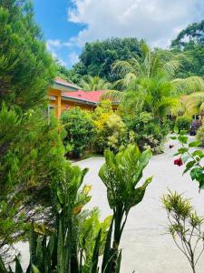 Taman di luar Alha Villa