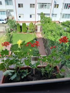 克利默内什蒂Casa Fabrizio的一栋建筑外的花园,开满了红色的花