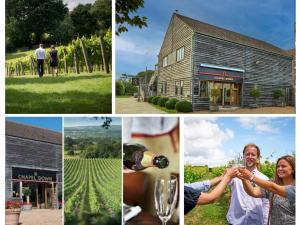 ライにあるPass the Keys Mermaids Rest - Stylish Flatのワインを飲む人々と建物の写真のコラージュ