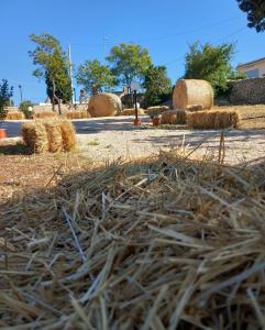 un tas de foin sur le bord d'une route dans l'établissement Il trullo della nonna, à Martina Franca
