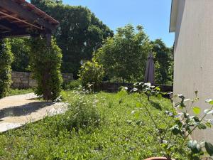 Zahrada ubytování Apartment Dulcis Domus