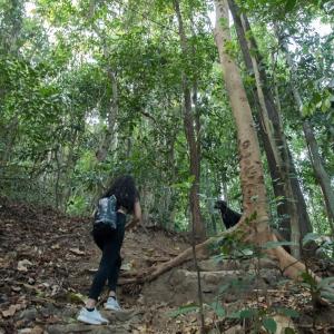 Gosti koji borave u objektu SAYA Nest Self-Service Home in Rainforest Nest with Kitchen - Monkeys, Bats, Pet Friendly with a Fee