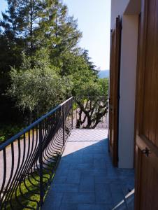 Příroda nedaleko bed and breakfast