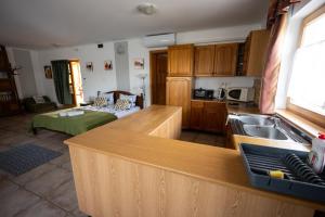 a kitchen with a sink and a counter top at Guesthouse Kohári in Egerszalók