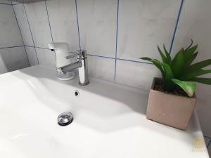 a bathroom sink with a faucet and a plant on it at Apartment Irene in Sečovlje +38 photos