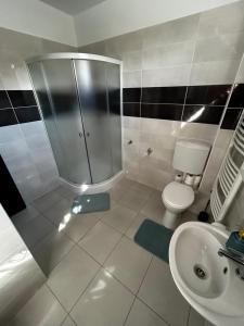 a bathroom with a shower and a toilet and a sink at Lexi Classic 2 in Hajdúszoboszló