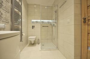 a bathroom with a shower and a toilet and a sink at Apartament LENA III Deluxe in Kowary
