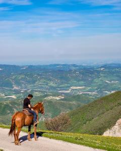 a man riding a horse on a dirt road at Agriturismo Cardella in Piobbico