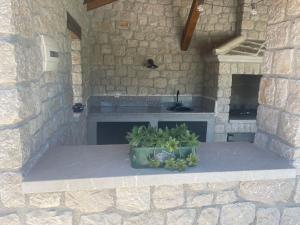 a stone kitchen with two potted plants on a table at Vila Koscela in Blagaj