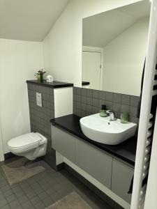 Fotografie z fotogalerie ubytování Calm Stay Apartment with Self Check-in v destinaci Cēsis