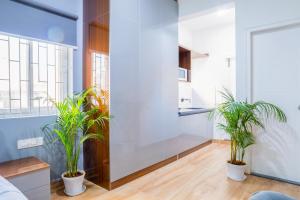 a living room with potted plants in a room at Housr 14 Serviced Apartment Koramangala Bangalore in Bengaluru