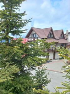 a house with a tree in front of it at Cabana Antonia in Straja