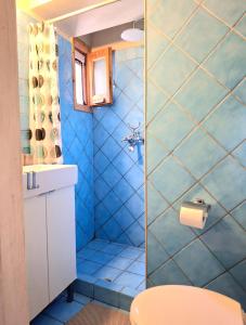 a bathroom with a blue tiled shower with a toilet at Aga's Seaview Cottages in Ágios Márkos +32 photos
