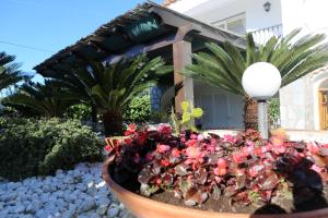 Fotografie z fotogalerie ubytování B&B Villa La Cicas v destinaci Anacapri