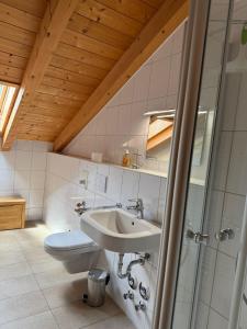 Phòng tắm tại Ferienwohnungen Bibelöd 24