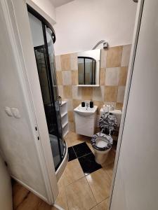 un bagno con un water e un lavandino di City Studio Ana a Fiume (Rijeka)