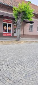 Okolí ubytování na lodi