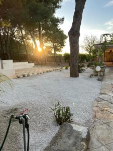 a bike parked in a park with the sun setting at Villetta in pineta in Gallipoli