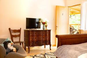 a bedroom with a tv on top of a dresser at Casa Decebal in Băile Herculane