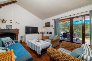 Una sala de estar con sofás, televisión y chimenea. en VILA OLIVE TREE Krk, en Kornić