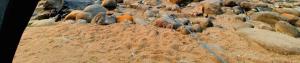 a large group of rocks on a beach at Breathe & Bloom Camp in Dawki