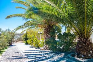 O grădină în afara Blue Sapphire Perissa Hotel
