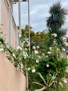 Giardino di Ana House